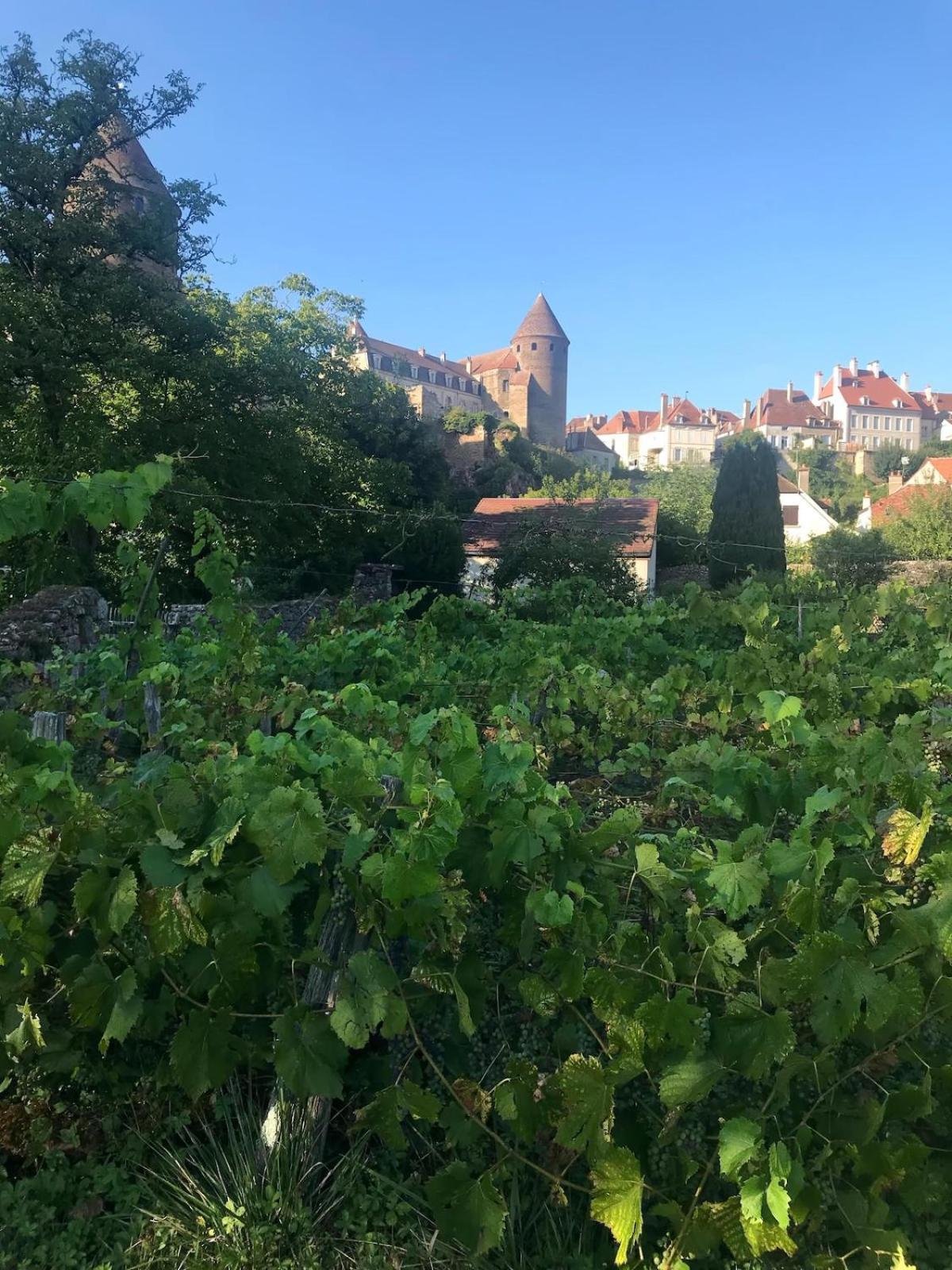 Grande Maison A Semur En Plein Coeur Historique Semur-en-Auxois Exterior foto